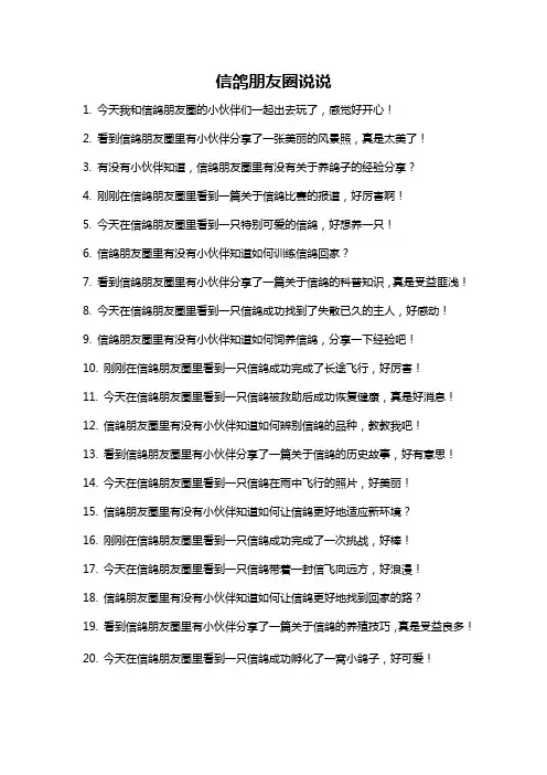 信鸽朋友圈说说