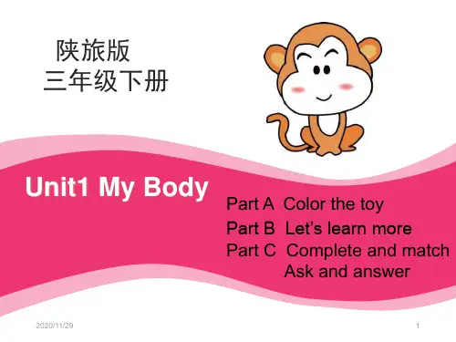 陕旅版三年级下册英语《My Body》精品PPT教学课件 (4)