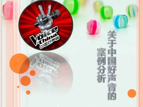 中国好声音节目分析