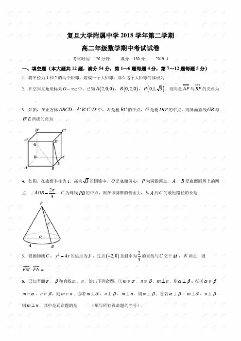 上海市复旦大学附属中学2019届高二第二学期期中考试数学试题.docx