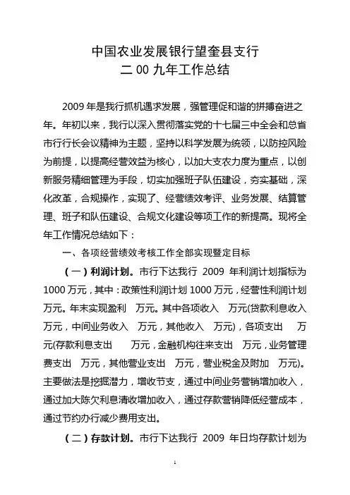 2009年工作总结