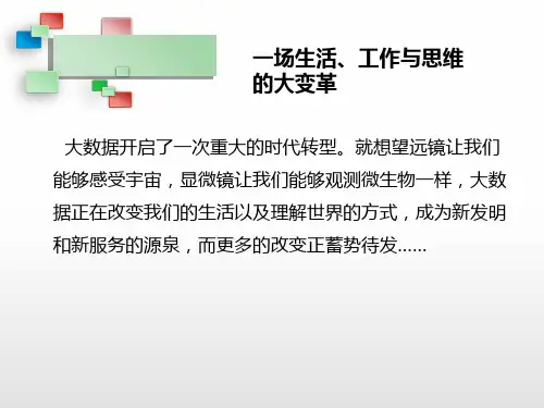 大数据时代下的数据挖掘简易ppt课件