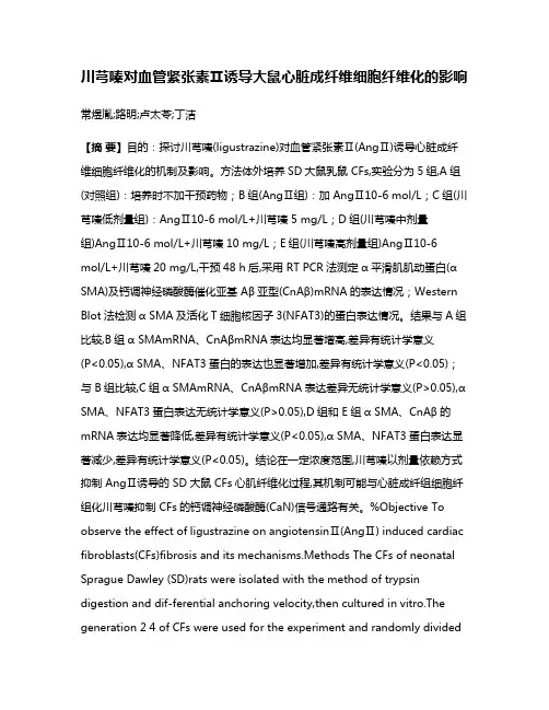川芎嗪对血管紧张素Ⅱ诱导大鼠心脏成纤维细胞纤维化的影响