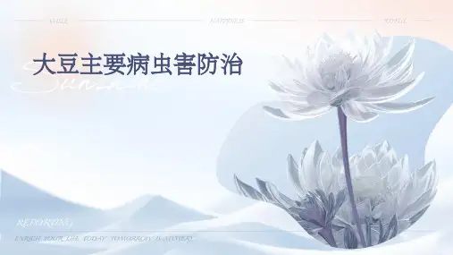 大豆主要病虫害防治