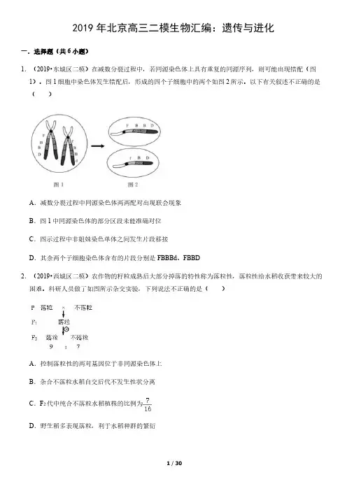 2019年北京高三二模生物汇编：遗传与进化含答案