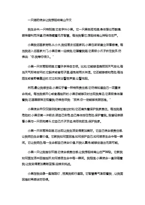 一只猫的使命让我想起终南山作文