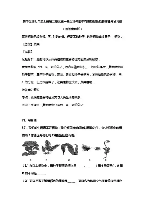 初中生物七年级上册第三单元第一章生物体圈中有哪些绿色植物作业考试习题(含答案解析)(38)