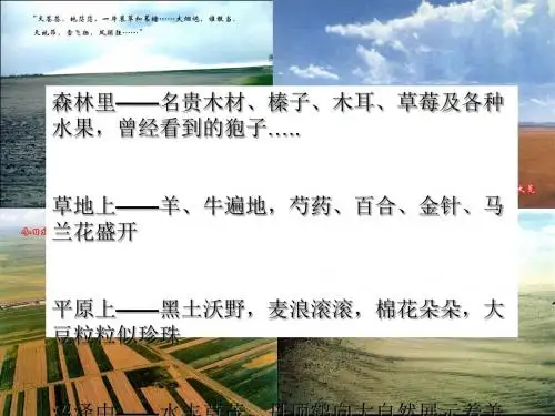 区域农业发展培训课件(ppt 38页)