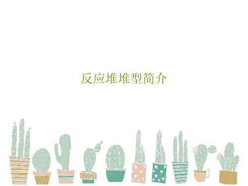 反应堆堆型简介66页PPT