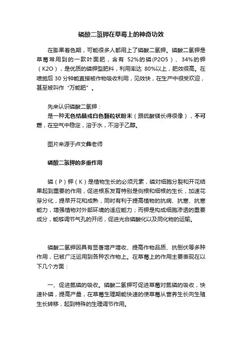 磷酸二氢钾在草莓上的神奇功效