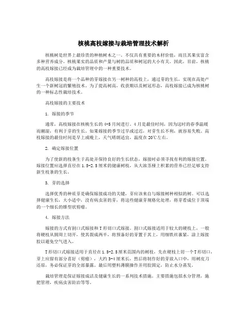 核桃高枝嫁接与栽培管理技术解析