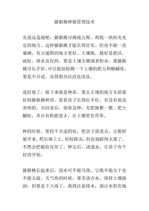 猕猴桃种植管理技术