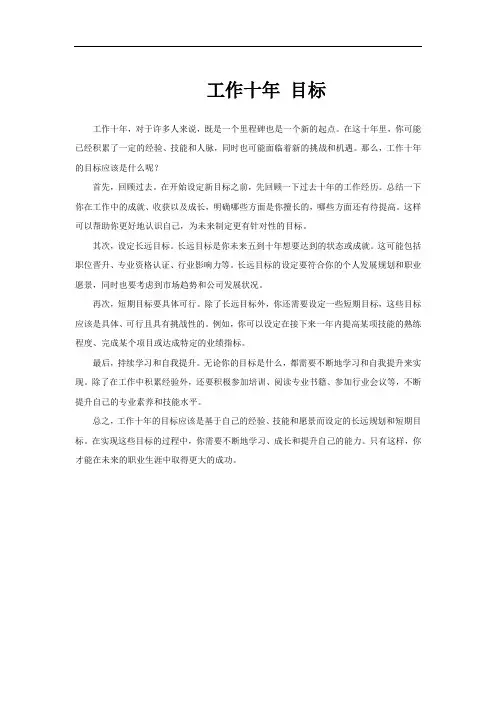 工作十年 目标