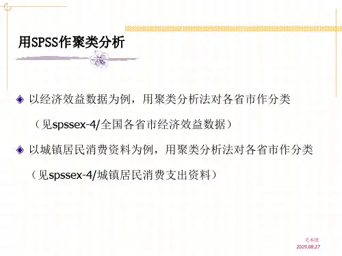 用SPSS作聚类分析40页PPT