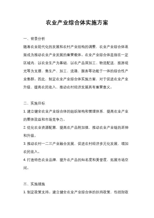 农业产业综合体实施方案