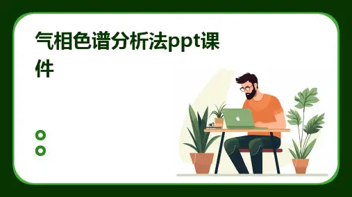 气相色谱分析法ppt课件