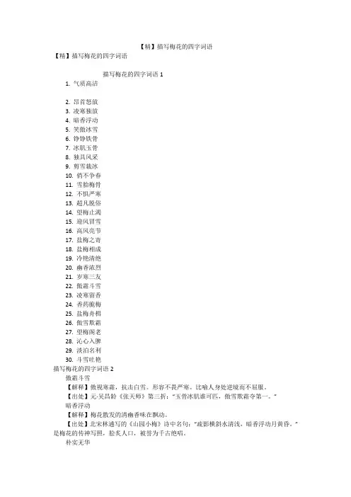 【精】描写梅花的四字词语