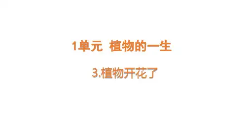苏教版小学三年级下册科学 第一单元 植物的一生 3 植物开花了