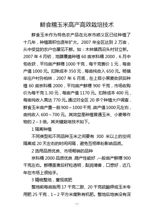 鲜食糯玉米高产高效栽培技术