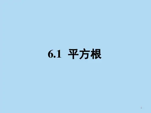 实数 (平方根)ppt课件