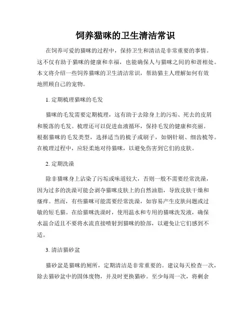 饲养猫咪的卫生清洁常识