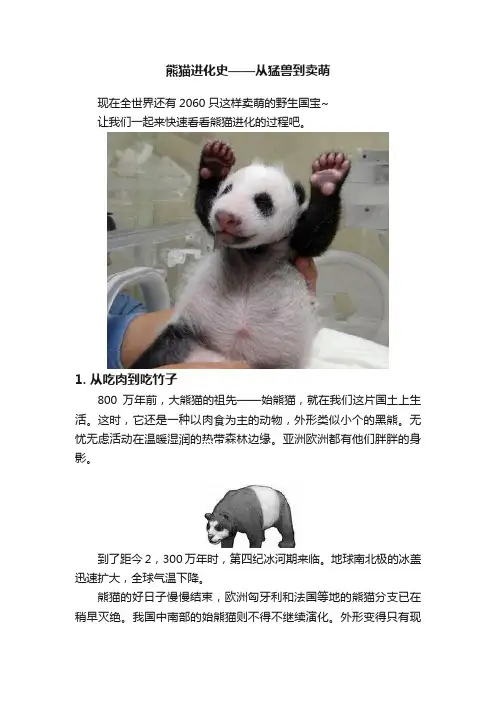 熊猫进化史——从猛兽到卖萌