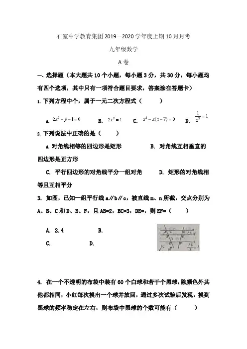 石室中学教育集团2019—2020学年度上期10月月考