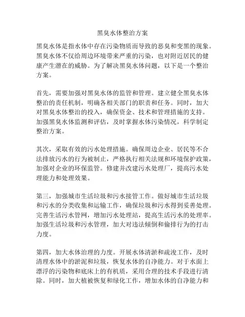 黑臭水体整治方案