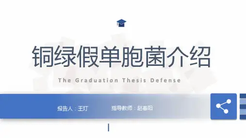 铜绿假单胞菌