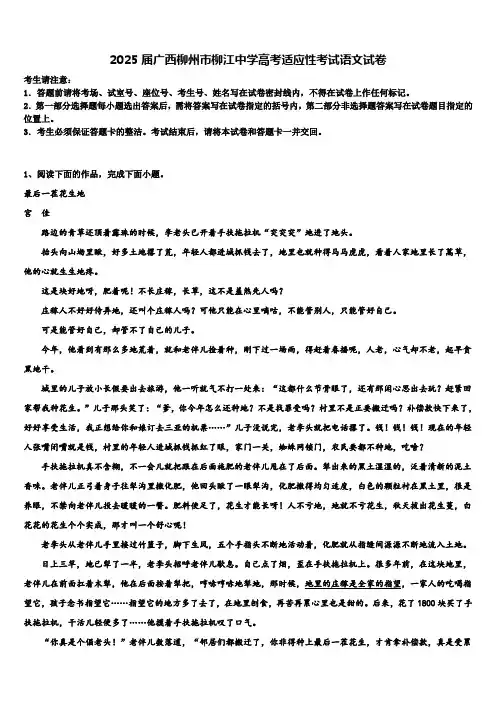 2025届广西柳州市柳江中学高考适应性考试语文试卷含解析