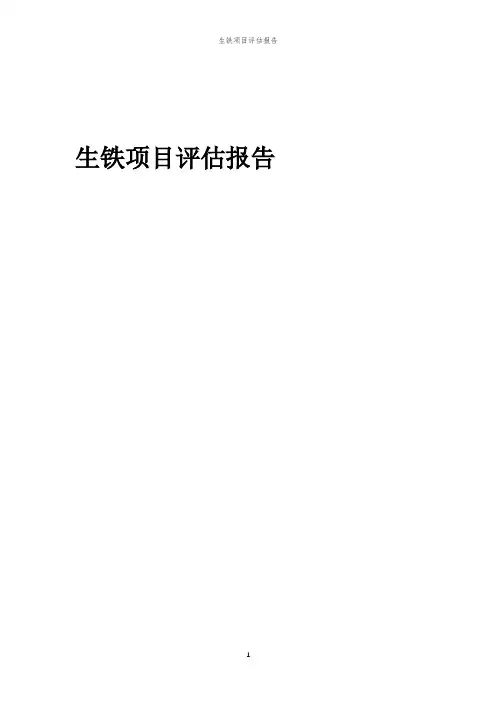2023年生铁项目评估报告