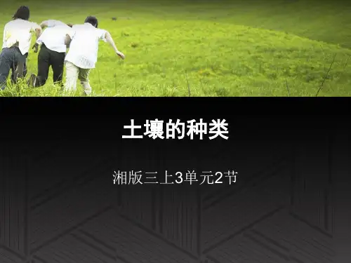 三年级上科学课件土壤的种类湘教版