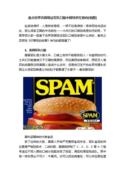 盘点世界各国现役军队口粮中国特供红烧肉[组图]