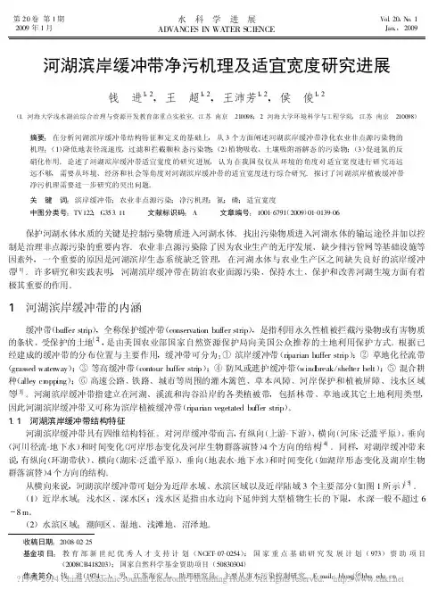河湖滨岸缓冲带净污机理及适宜宽度研究进展_钱进
