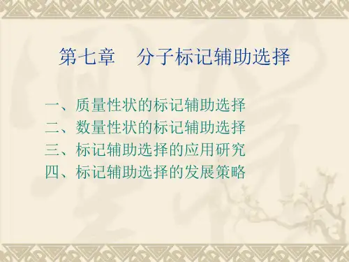 第七章 分子标记辅助选择 PPT课件