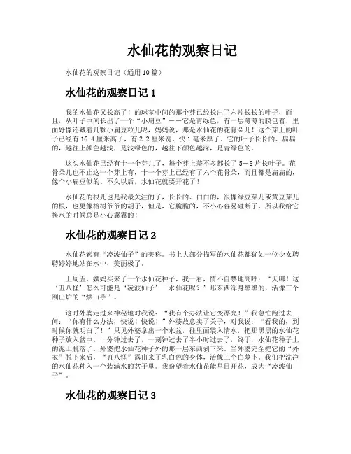 水仙花的观察日记
