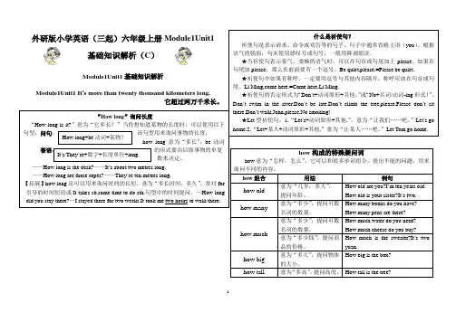 外研版小学英语(三起)六年级上册Module1Unit1基础知识解析(C)
