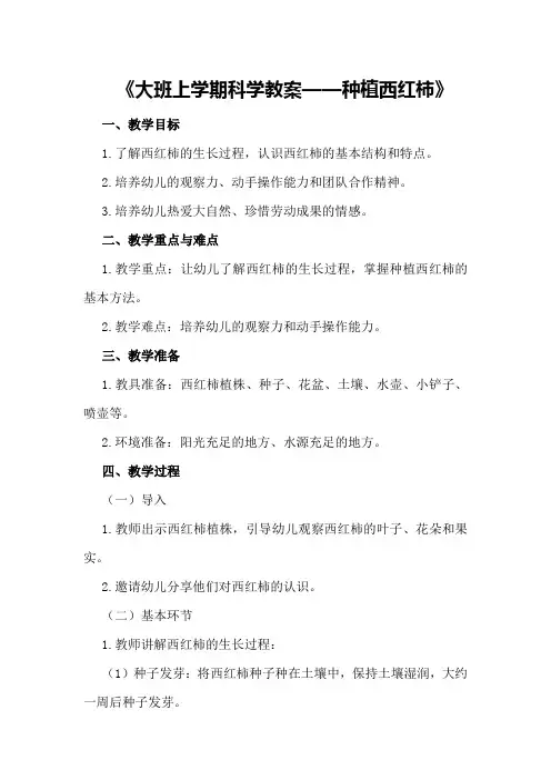 大班上学期科学教案《种植西红柿》