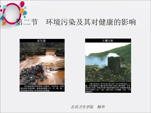 《环境污染》PPT课件