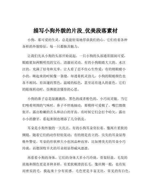 描写小狗外貌的片段_优美段落素材