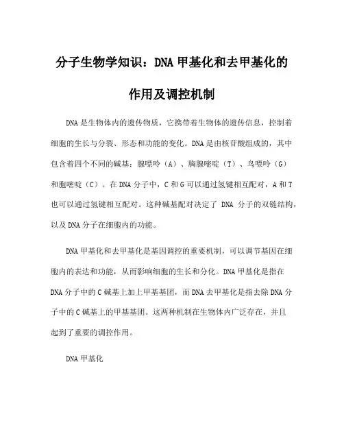分子生物学知识：DNA甲基化和去甲基化的作用及调控机制
