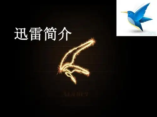 迅雷简介