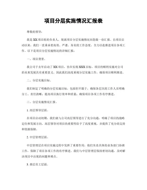 项目分层实施情况汇报表