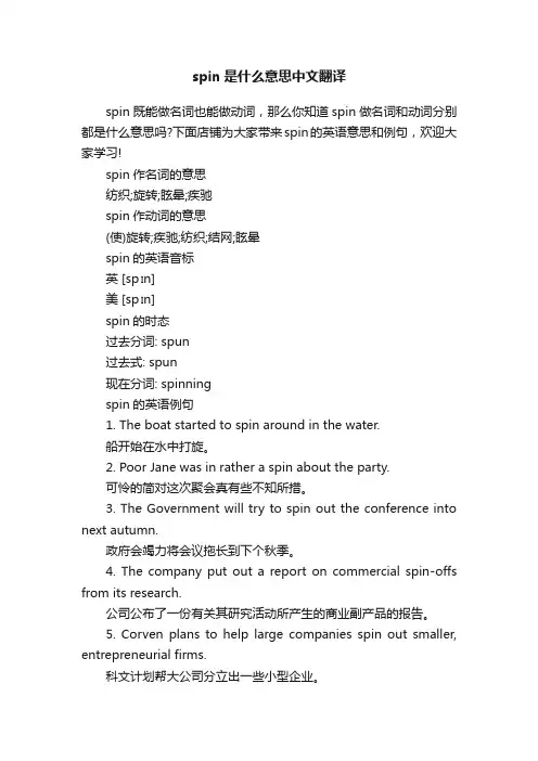 spin是什么意思中文翻译