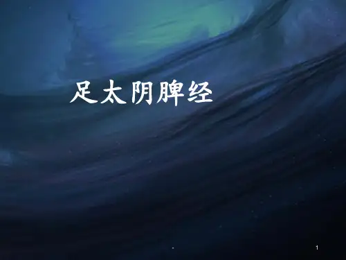 4足太阴脾经(已完成)PPT课件