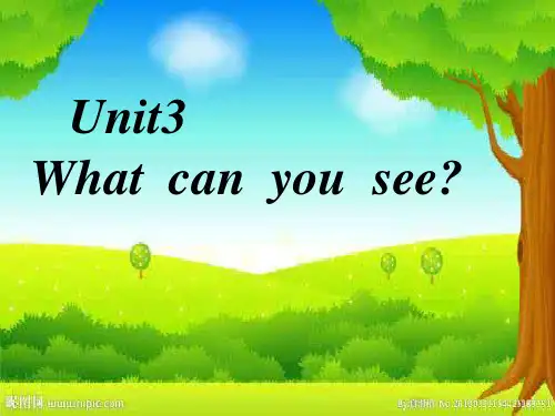 四年级英语下册课件-Unit 3 What can you see（116）-湘少版