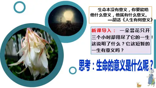 感受生命的意义课件-2021-2022学年部编版道德与法治七年级上册 (1)