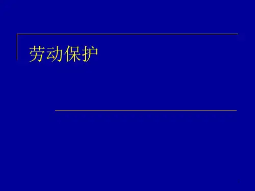 劳动保护PPT课件