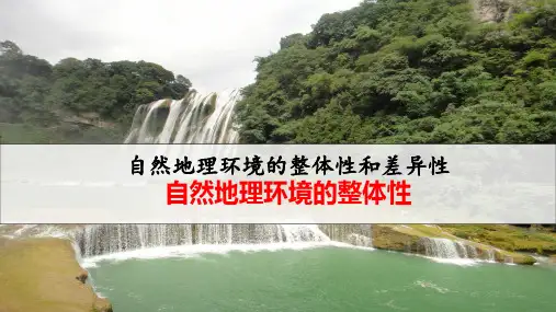 高考地理专题复习：自然地理环境的整体性(44张PPT)