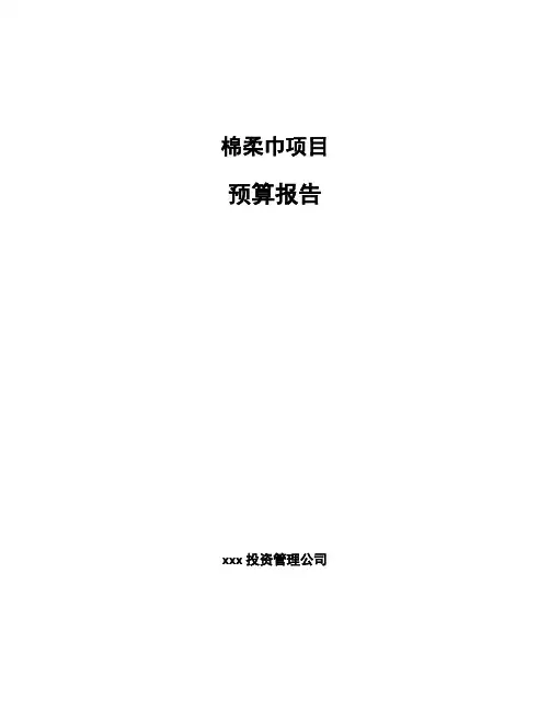 棉柔巾项目预算报告